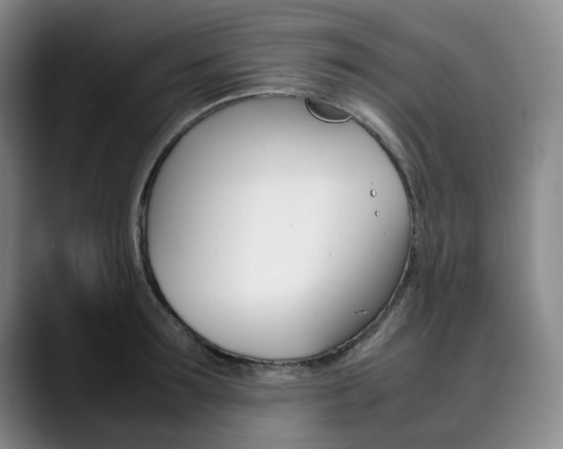 X0000090490899200707130928