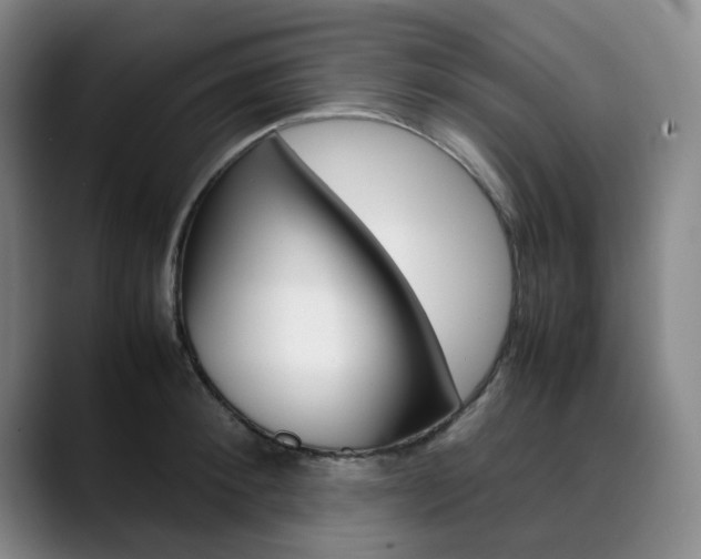 X0000090490900200707130928
