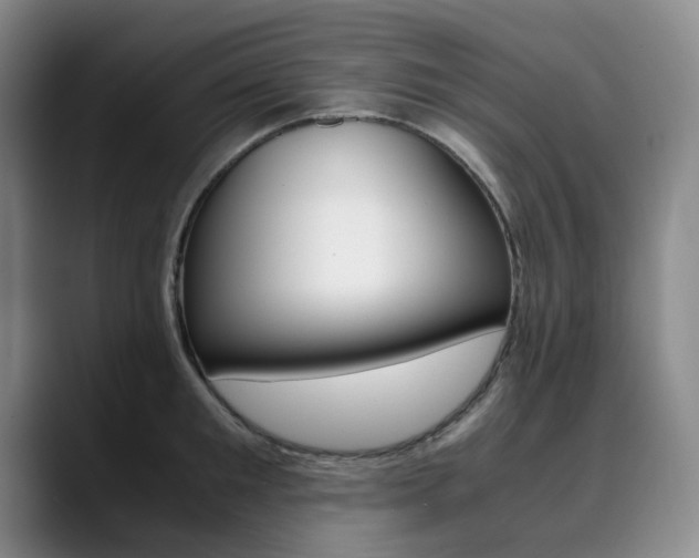 X0000090490901200707130928