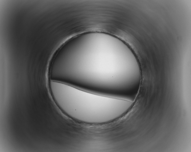 X0000090490902200707130928