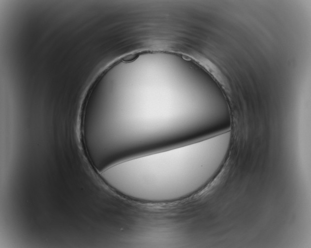 X0000090490904200707130928
