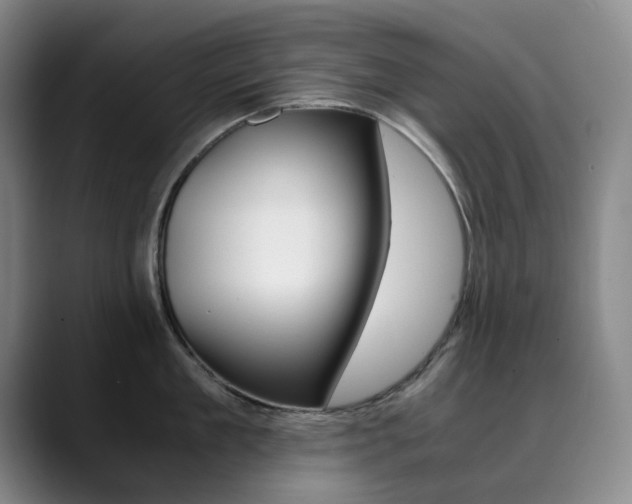 X0000090490909200707130928