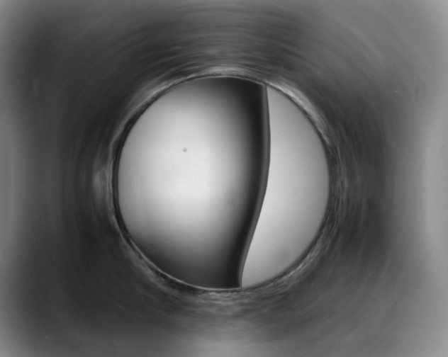 X0000090490910200707130928