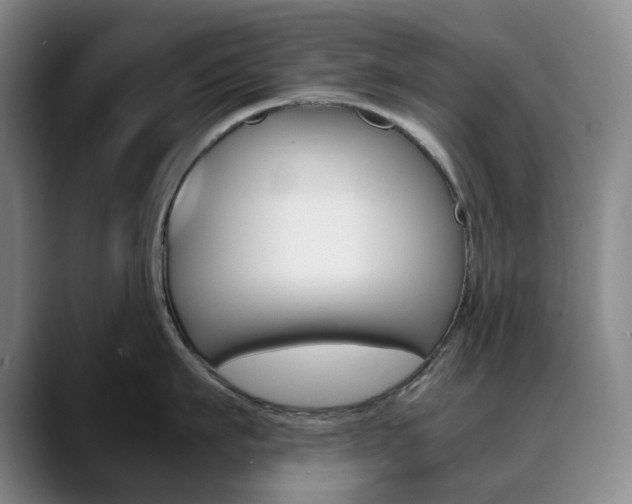 X0000090490911200707130928