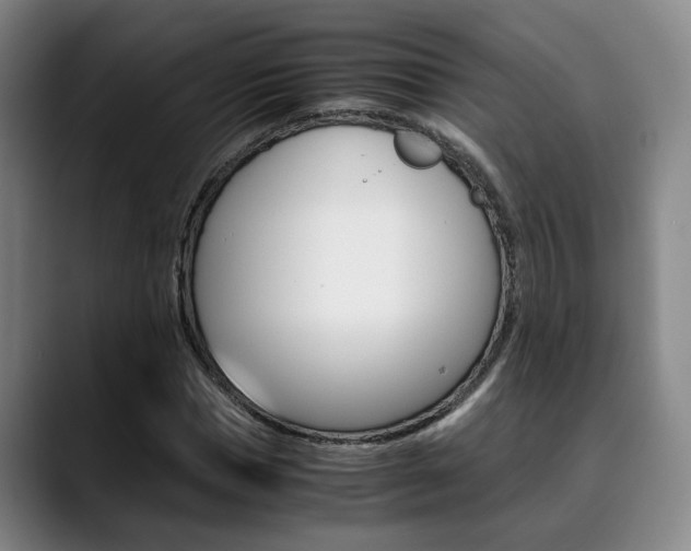 X0000090490921200707130928