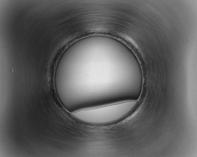 X0000090490922200707130928