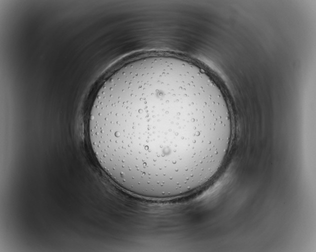 X0000090490925200707130928