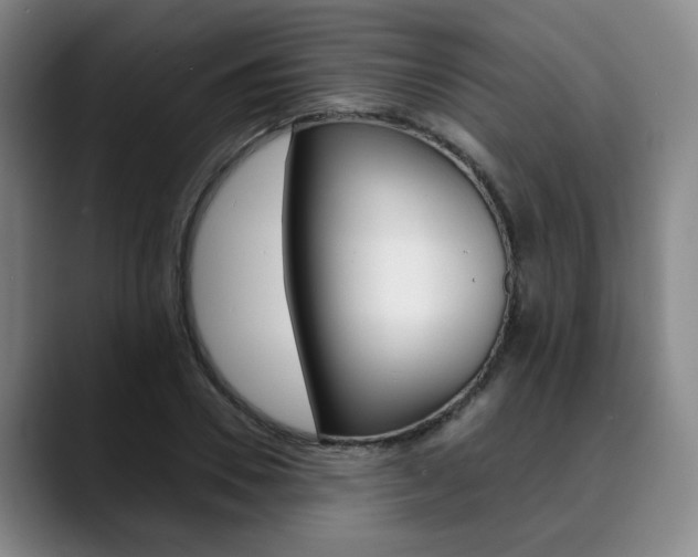 X0000090490930200707130928