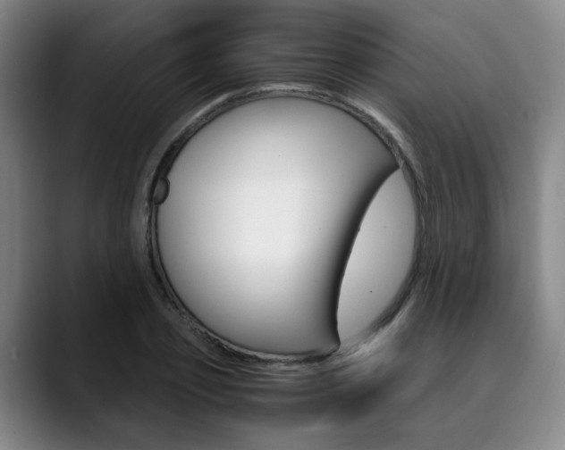 X0000090490933200707130928