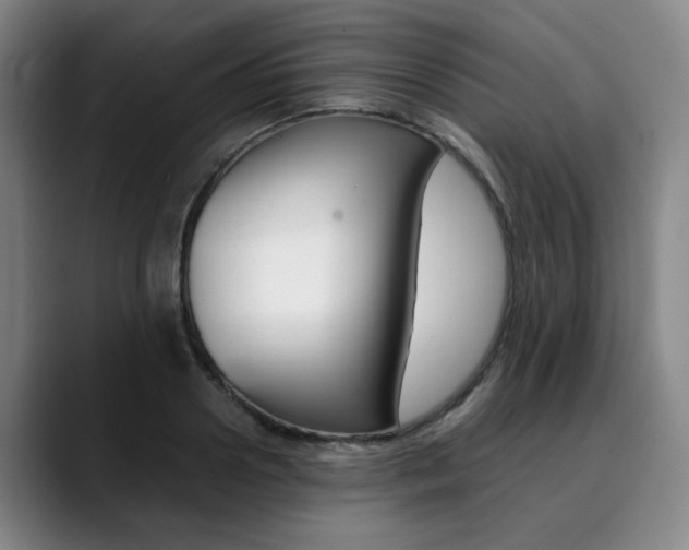 X0000090490938200707130928