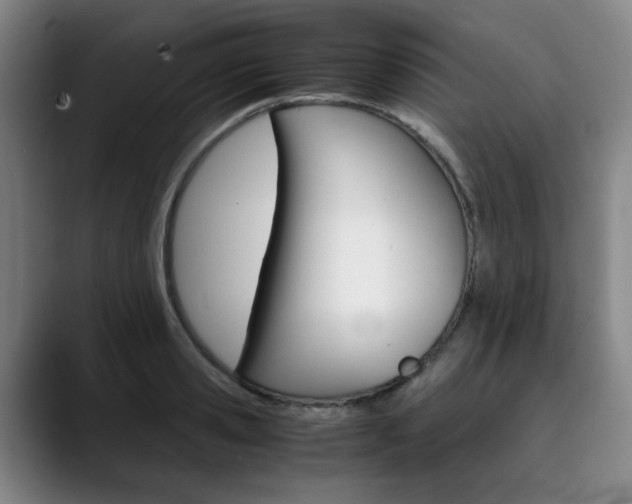 X0000090490941200707130928
