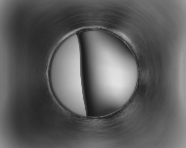 X0000090490943200707130928