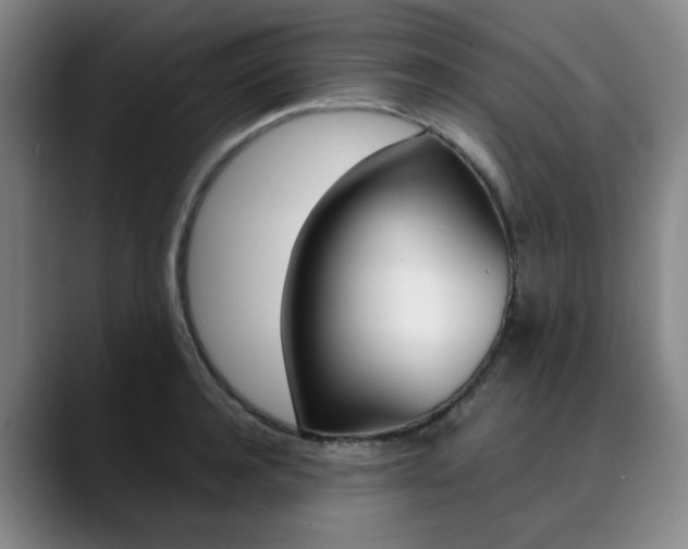 X0000090490944200707130928