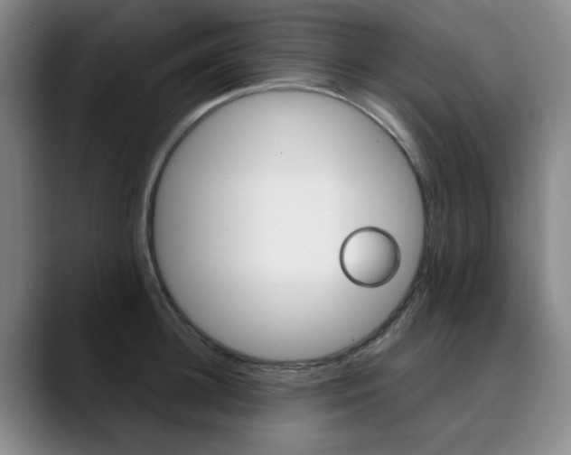 X0000090490948200707130928
