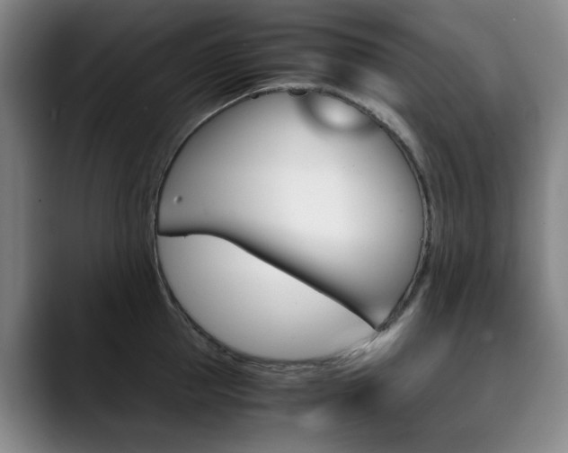 X0000090490953200707130928