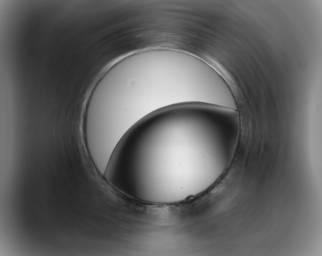 X0000090490956200707130928