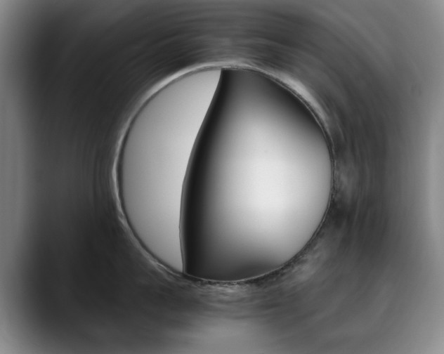 X0000090490959200707130928
