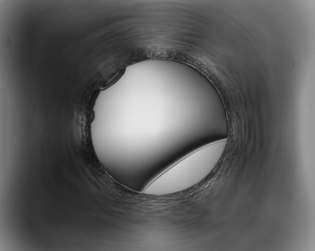 X0000090490964200707130927