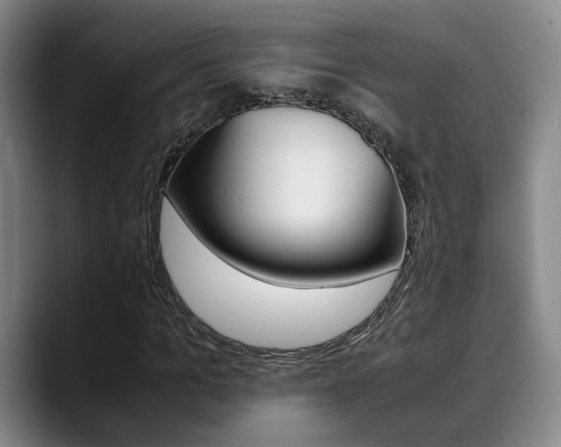 X0000090490965200707130927