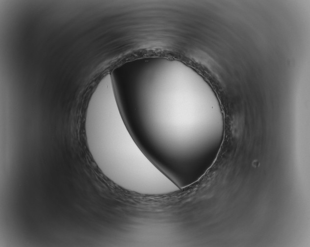 X0000090490968200707130927