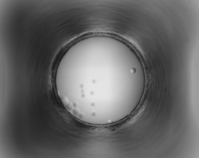 X0000090490974200707130927