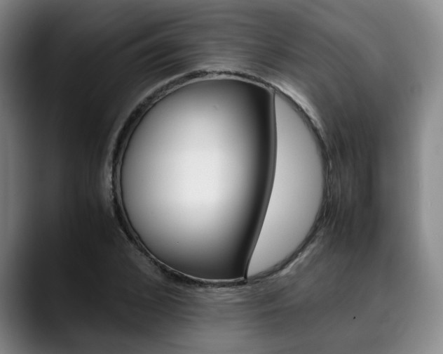 X0000090490976200707130927