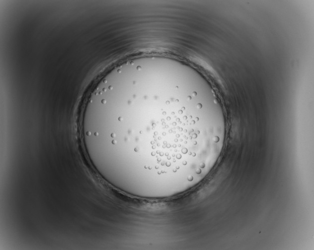 X0000090490978200707130927