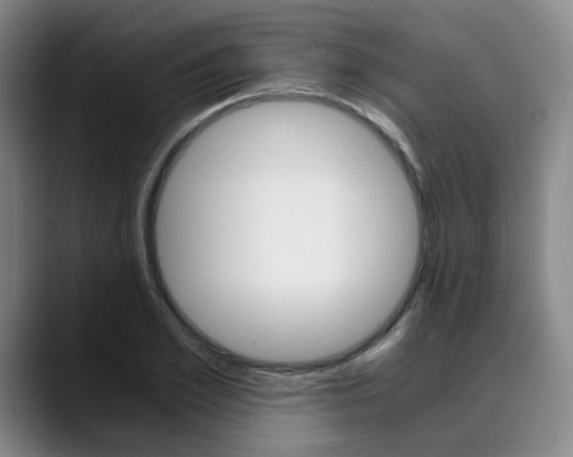 X0000090490981200707130927