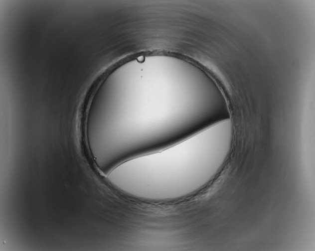 X0000090490983200707130927