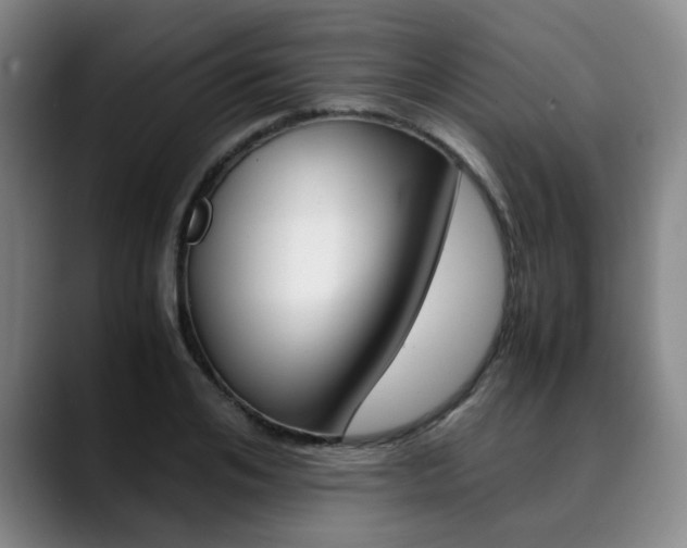 X0000090490984200707130927