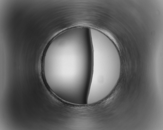 X0000090490999200707130927