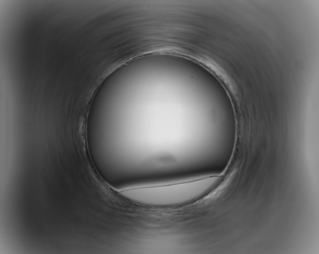 X0000090491001200707130927