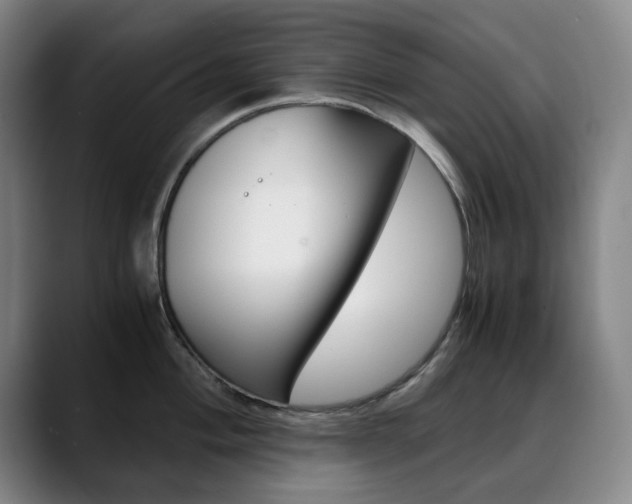 X0000090491004200707130927