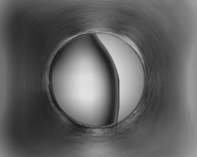 X0000090491005200707130927