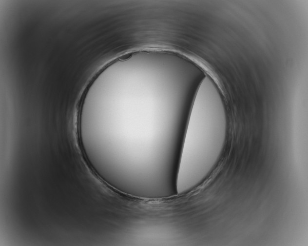 X0000090491006200707130927
