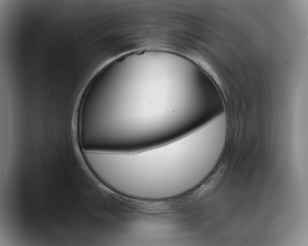X0000090491007200707130927