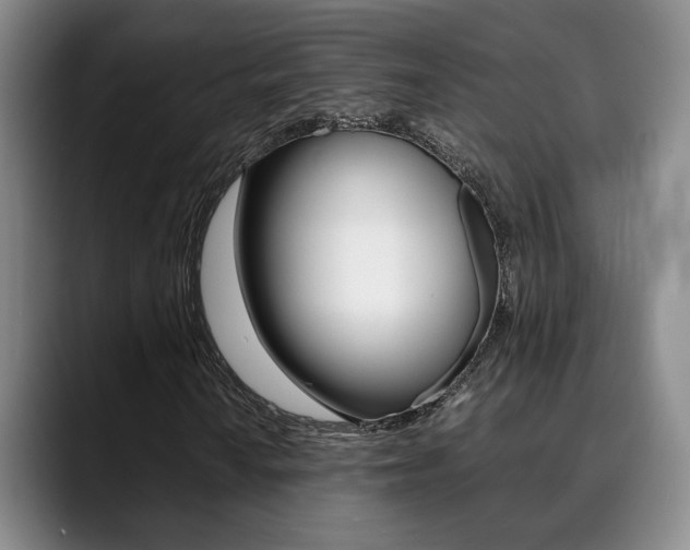 X0000090491010200707130926
