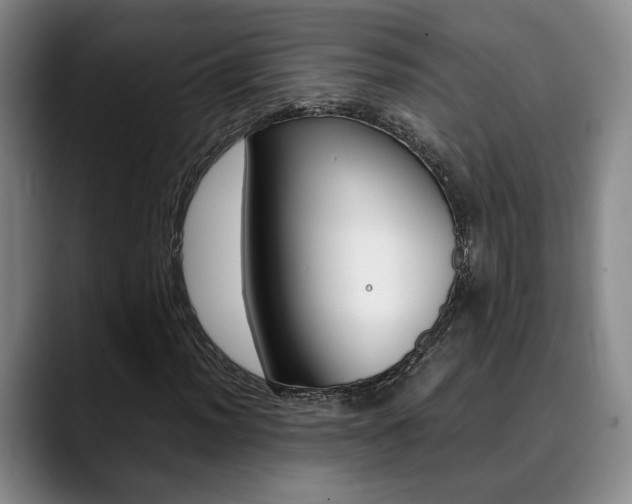 X0000090491012200707130926