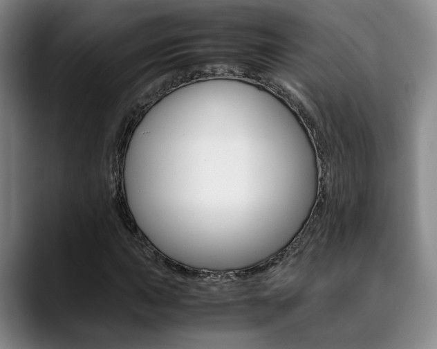 X0000090491015200707130926