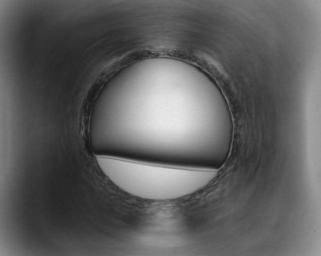 X0000090491016200707130926