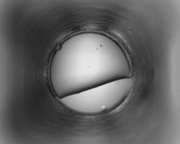 X0000090491017200707130926