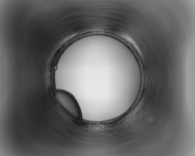 X0000090491019200707130926