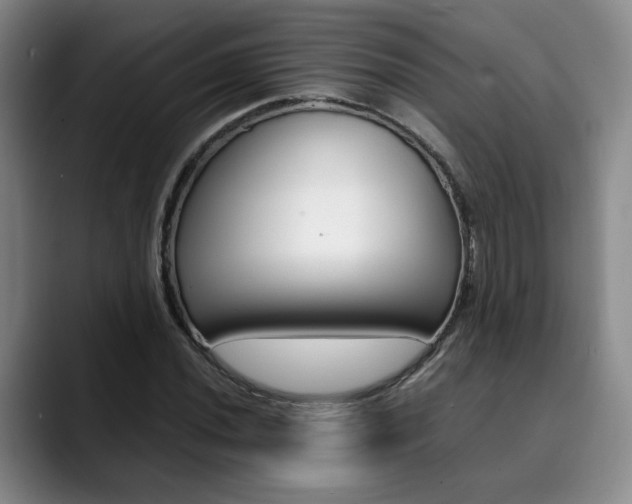 X0000090491020200707130926