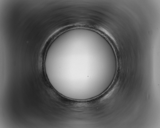 X0000090491021200707130926