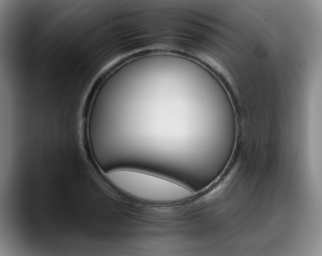 X0000090491029200707130927