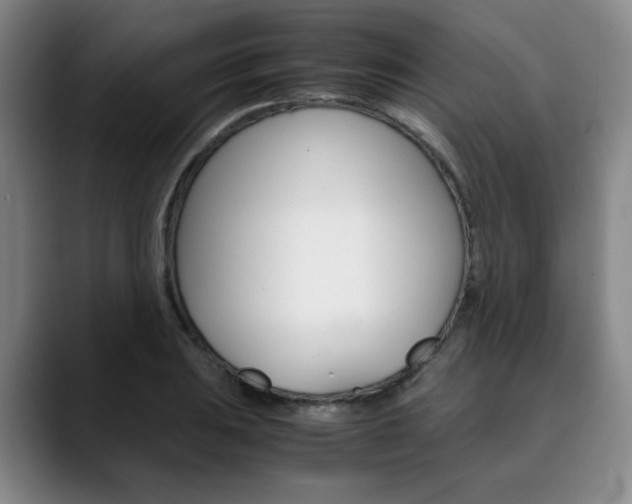 X0000090491031200707130927