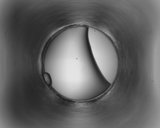 X0000090491032200707130927