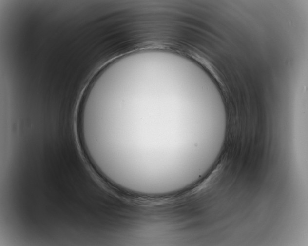 X0000090491034200707130927