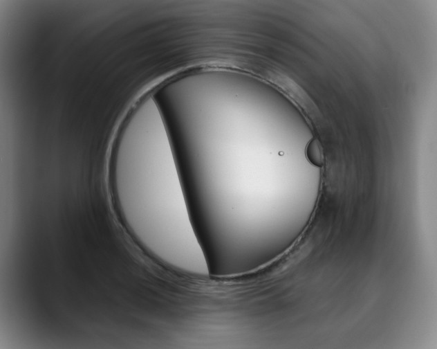 X0000090491036200707130927