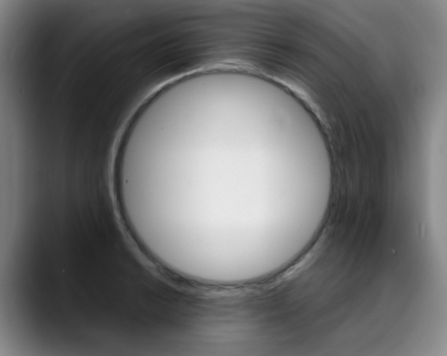 X0000090491038200707130927